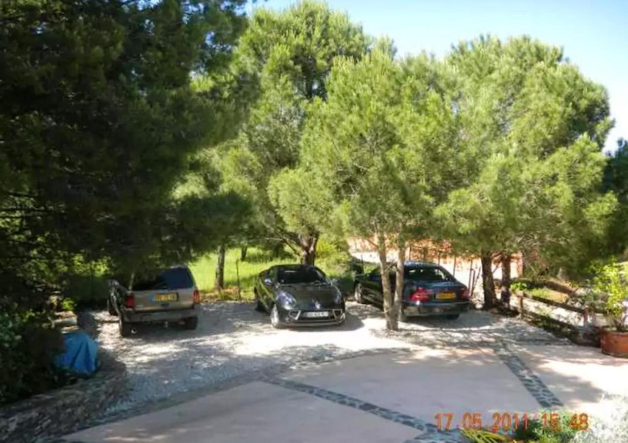 Studio Charmant Avec Vue Sur La Mer A Collioure 55 M² Terrasse Apartment ภายนอก รูปภาพ