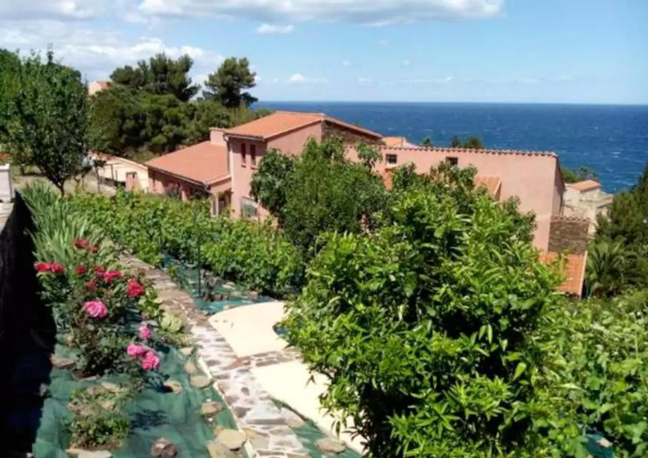 Studio Charmant Avec Vue Sur La Mer A Collioure 55 M² Terrasse Apartment ภายนอก รูปภาพ