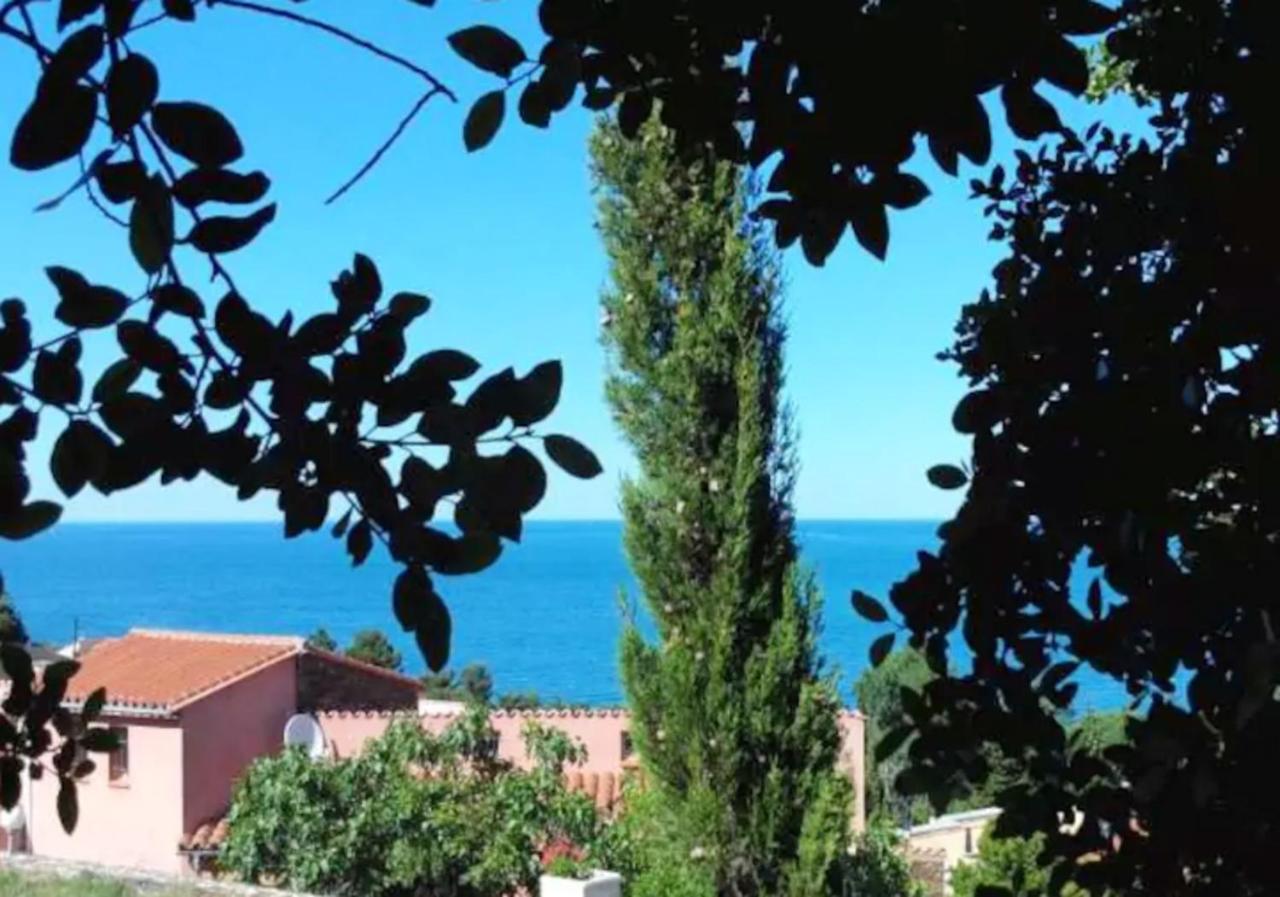 Studio Charmant Avec Vue Sur La Mer A Collioure 55 M² Terrasse Apartment ภายนอก รูปภาพ